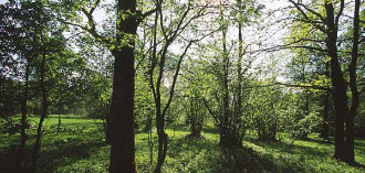 Nedrema puisniidu talgud