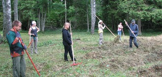 Heinategu Viidumäe puisniidul