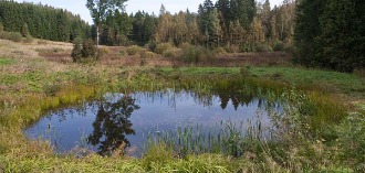 Harivesiliku talgud Haanjamaal