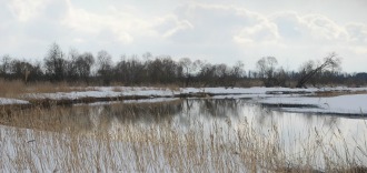 Talvine Palupõhja loodus- ja talgulaager