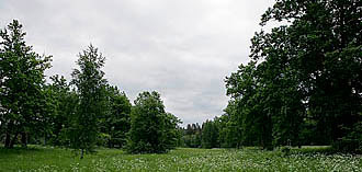 Talgud Koiva-Mustjõel